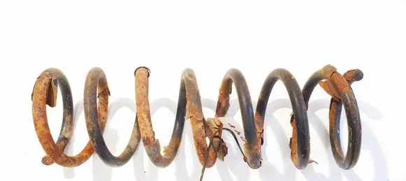 Rear coil spring