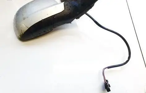 Front door electric wing mirror