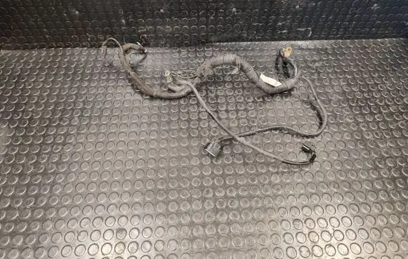 Peugeot 4007 Wires (generator/alternator) 