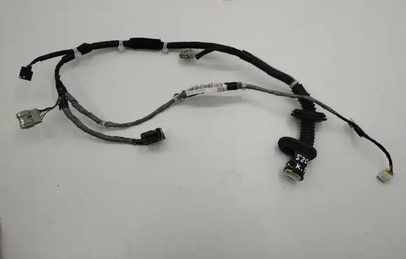Front door wiring loom