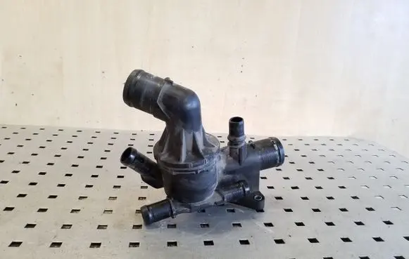 Thermostat/thermostat housing