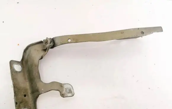 Volvo C30 Engine bonnet/hood hinges 30753598