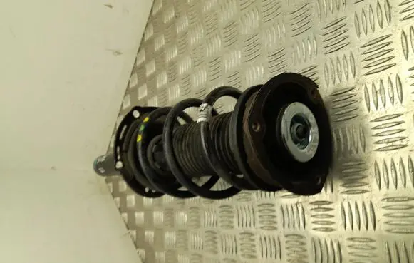Volkswagen Tiguan Front shock absorber with coil spring 5QF412022BL