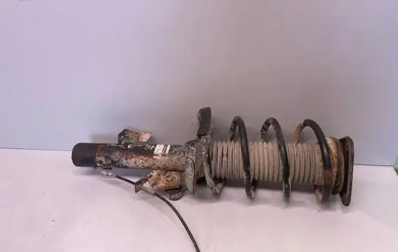 Ford Focus Front shock absorber with coil spring 1919323