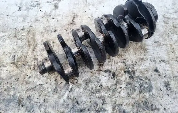 Volkswagen PASSAT B5 Crankshaft 