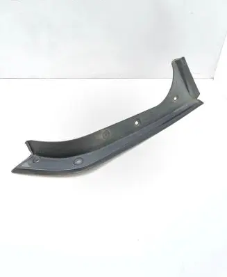 Rear/tail light trim molding