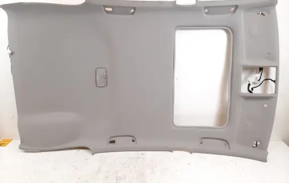 Lexus RX 300 Headlining 6331048181 8217148171