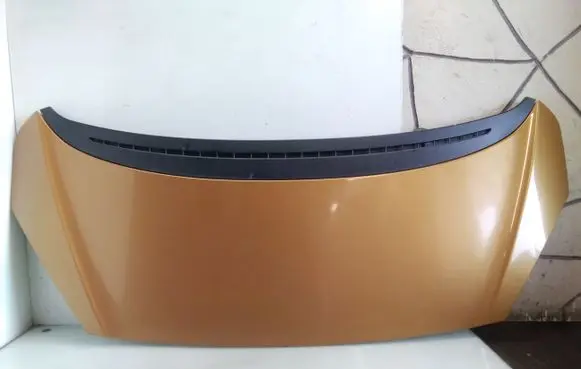 Peugeot 1007 Engine bonnet/hood