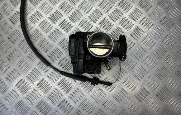 Volkswagen Sharan Electric throttle body valve 366495390 Pbtgf20