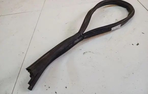 Volkswagen Bora Rubber seal front coupe door 