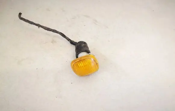 Front fender indicator light
