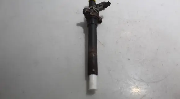 Citroen C5 Fuel injector