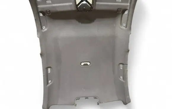 BMW 3 G20 G21 Headlining 8079196