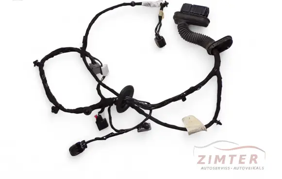 Front door wiring loom