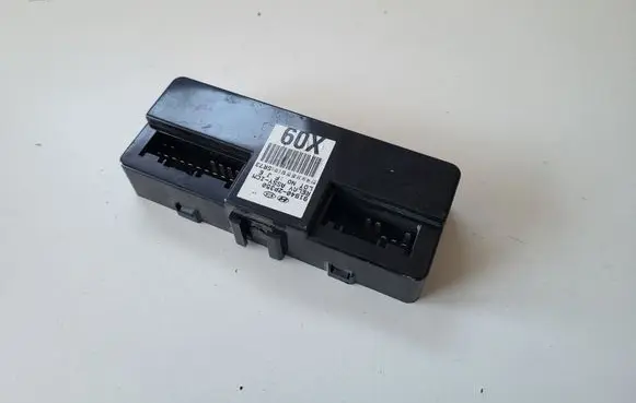 KIA Sorento Other control units/modules 919402P350