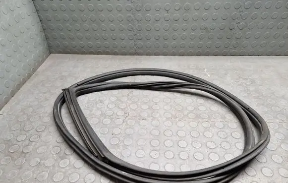 BMW 1 E82 E88 Front door rubber seal 7164948