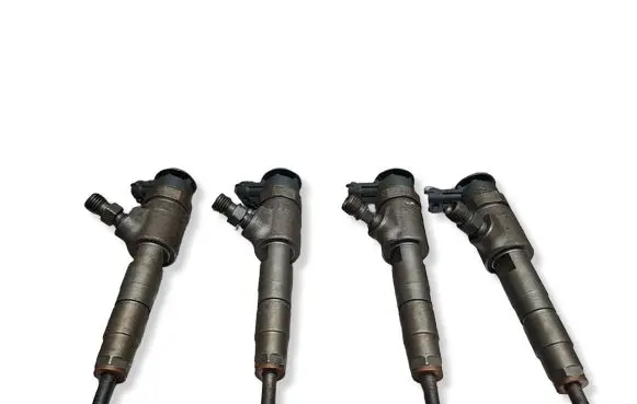 Citroen C3 Fuel injector S27624883 0445110339