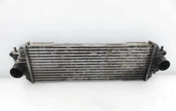 Renault Trafic II (X83) Intercooler radiator 