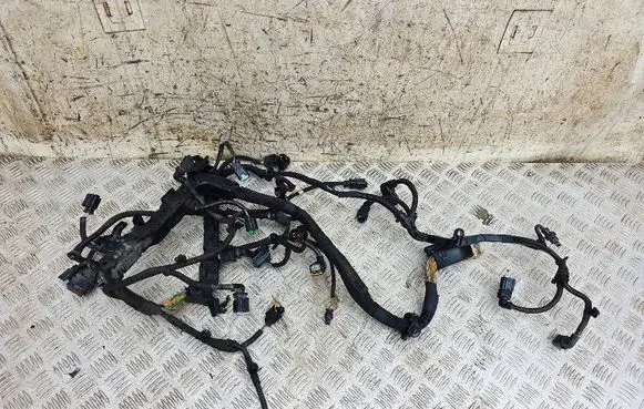 Citroen C4 Cactus Engine installation wiring loom 