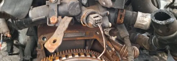 Nissan Juke I F15 Engine coolant pipe/hose