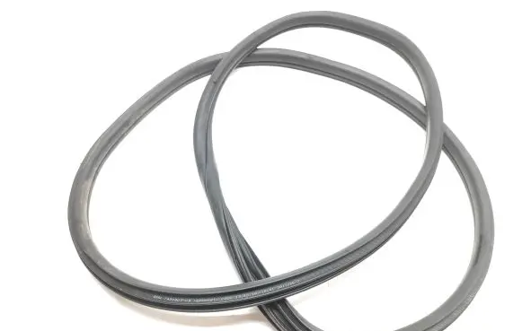 BMW X2 F39 Rear door rubber seal (on body) 7420803