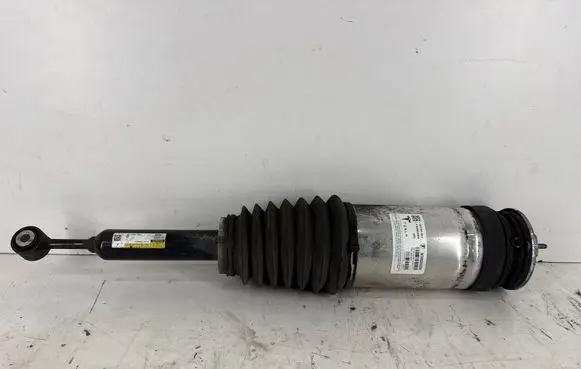Tesla Model X Rear shock absorber/damper 102746100E