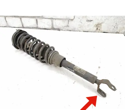 Mercedes-Benz CLS C219 Front shock absorber with coil spring A2193200713 801404000174