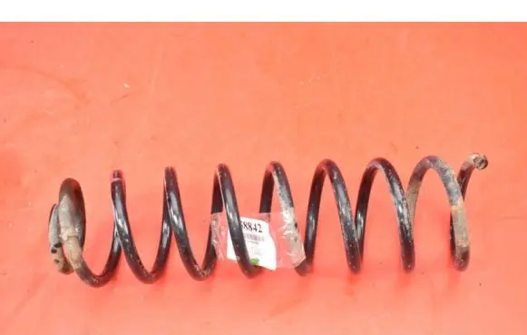 Rear coil spring