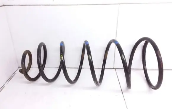 Front coil spring