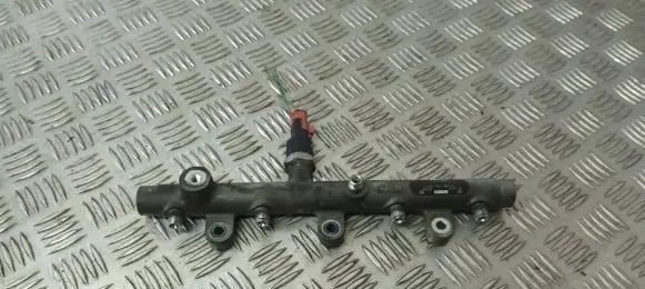Peugeot 307 Fuel main line pipe 0445214019