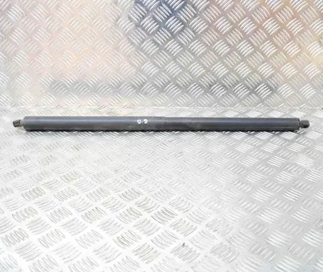 Tailgate/trunk strut/damper
