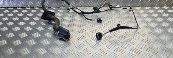 Renault Zoe Rear door wiring loom 241277881R