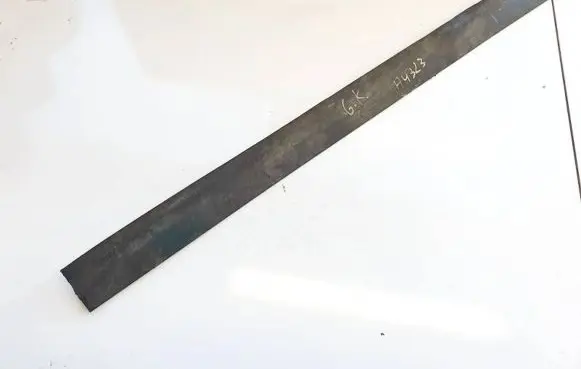 Mitsubishi Grandis Rear door trim (molding)