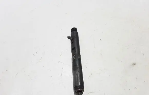 Renault Kangoo I Fuel injector 8200049873