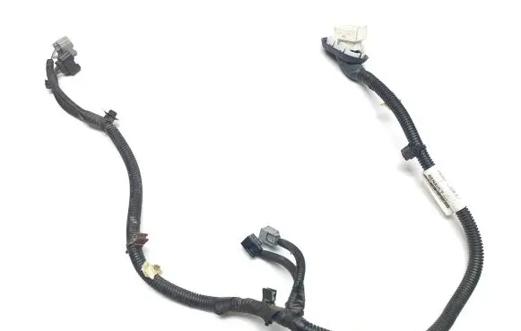 Renault Kangoo II Other wiring loom 241100672R 000700 2119