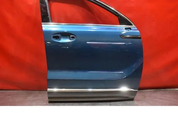 BMW X7 G07 Front door