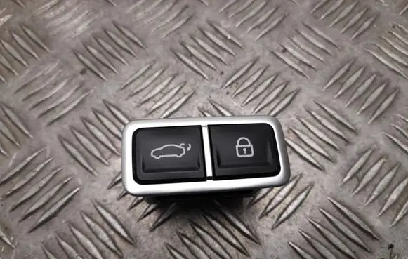 Hyundai IONIQ 6 Tailgate opening switch 81207T1000