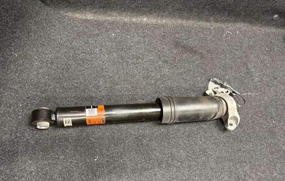 Chevrolet Camaro Rear shock absorber/damper 84219921 812952729 2220300000000R