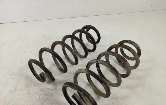 Rear coil spring