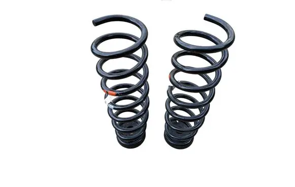 Rear coil spring