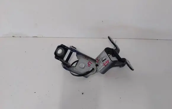 Renault Megane IV Front door hinge set 