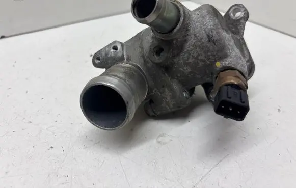 Thermostat/thermostat housing
