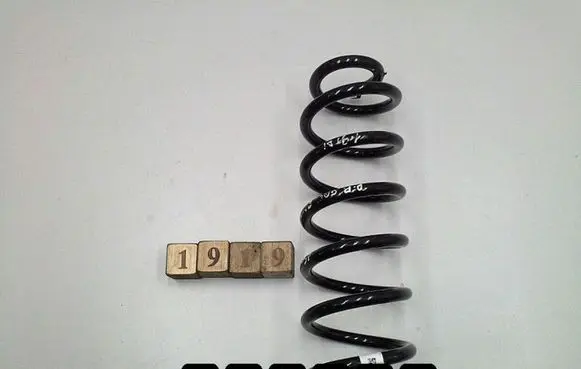 Volkswagen PASSAT B8 Rear coil spring