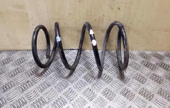Front coil spring