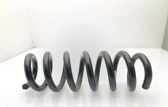 Rear coil spring