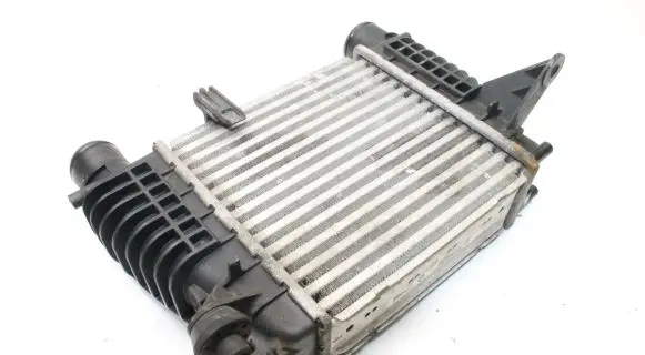 Nissan Juke I F15 Intercooler radiator 14461EM00A