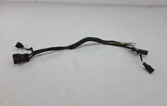 Other wiring loom