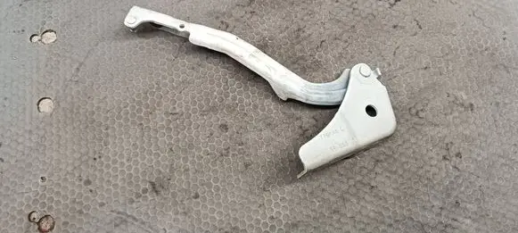 Chrysler 200 Engine bonnet/hood hinges 719AAQ