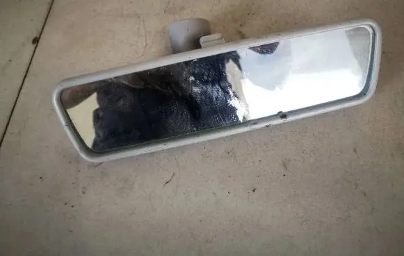 Skoda Octavia Mk2 (1Z) Rear view mirror (interior) e9014022