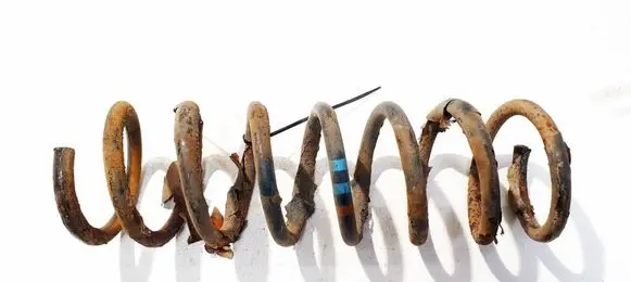 Ford Focus C-MAX Rear coil spring 